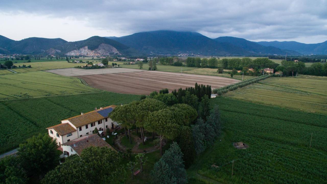 Podere Magnolia Piza Zewnętrze zdjęcie